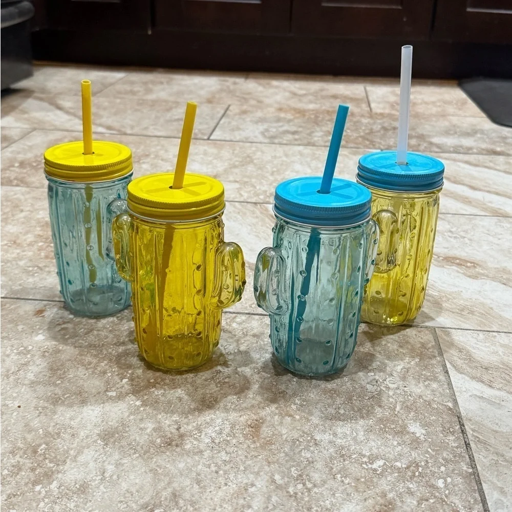 Colorful Cactus Mason Jar‎ Set